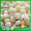 Brand New Tasty Pickled Garlic Cloves In Brine