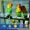 bird aviary/zoo aviaries/nets bird/bird netting