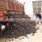 Low ash 12% Foundry coke/Met coke used for steelmaking ,ironmaking