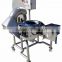 Automatic Stainless Steel Vegetable Slicer Cutting Machine CD500-I