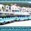 Factory Direct Rides Most Popular Amusement Rides Trackless Train for Sale