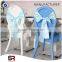 China Manufacturer Organza Sheer sash
