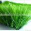 Artificial Lawn Grass Landscaping with Low Cost