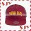 Fashion Sport Cap Style Custom 3d Embroidery Hat