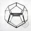 17*17*15cm geometric 12 face cutting glass terrarium flower arrangement air plant planter greenhouse home decoration 0100020
