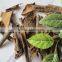 rou gui broken split cassia tube cassia b grade