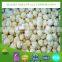 Fujian origin frozen champignon white mushroom from China