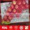Organic red honey and crispy fuji apples