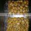Factory of peeled garlic in vacuum packed with top quality