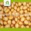 Good Brand Buy Potatoes Online
