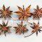 Vietnam star aniseeds, best quality & good price