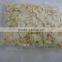 2015 new chinese dehydrated garlic spice garlic slice garlic flake with or without root