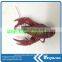 Frozen water cooked crayfish for sale
