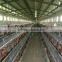 automatic chicken layer cage