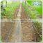 Garden / Agricultural farm irrigation drip hose