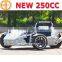 2015 NEW china 250cc chopper three wheel trike motorcycle(MC-369)