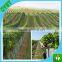 HDPE cage culture anti-bird cover fishing net