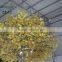 artificial gingko tree for decoration,fake gingko tree