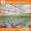 Heracles Trade Assurance mini grow tent