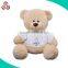 Plush teddy bear camera stuffed musical toy hidden camera toy