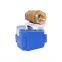 CWX15N Series Mini 9V 24V DC / AC Motor Electric Actuator CR04 Control Water  Valve