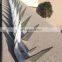 High Security Anti climb wall spike with competitive price bird spike