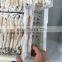 Wholesale BQF calamari frozen small size squid for bait