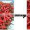 hot sell Chilli stem removing machine chili stem cutting machine