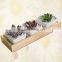 wooden planter box succulent plants in pots