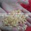 Professional Vegetable/Fruit Dicing Machine/Large Type Vegetable