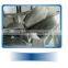 high speed multi-head weigher