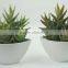 cheap wholesale artificial bonsai artificial cactus for decoraton