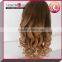 Charming Colorpopular in White People Honey Blonde Lace Front Wigs