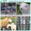 cold galvanied hinge-lock sheep and goat field fences(manufacturer)