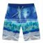 2015 summer cool dye sublimation printed mens beach short Mens Waterproof Beach/Swim Trunk For Surf