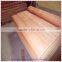 types of hardwood PLB face veneer for wood door