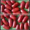 Wholesale Dried Dark Red Kidney Beans Alubia