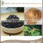 100% Pure Siberian Ginseng Root Extract