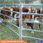 Farm Corral Panels with Round, Oval or Square Pipe