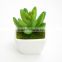China Factory Wholesale Artificial green plants artificial cactus plants for sale with cheap price