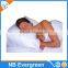 SnoreEzzz Snore Reducing Pillow