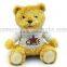 Plush Teddy Bear with cloth