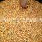 High quality Lier2.0I-A corn harvester