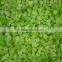 IQF Frozen celery cut with best price