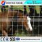 China Manufacturer Grassland Cattle Goat Fence Netting Machine