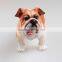 Recur Cute dog model toy plastic animal figure toy farm animal toy
