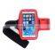 Sport Gym 5.5 inch Mobile Phones Running Armband