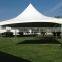 6x6m PVC wedding pagoda tents for sale