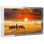 21.5" Promotional Wifi Bus TV Monitor