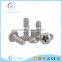 china product stainless steel self tapping screw wholesale